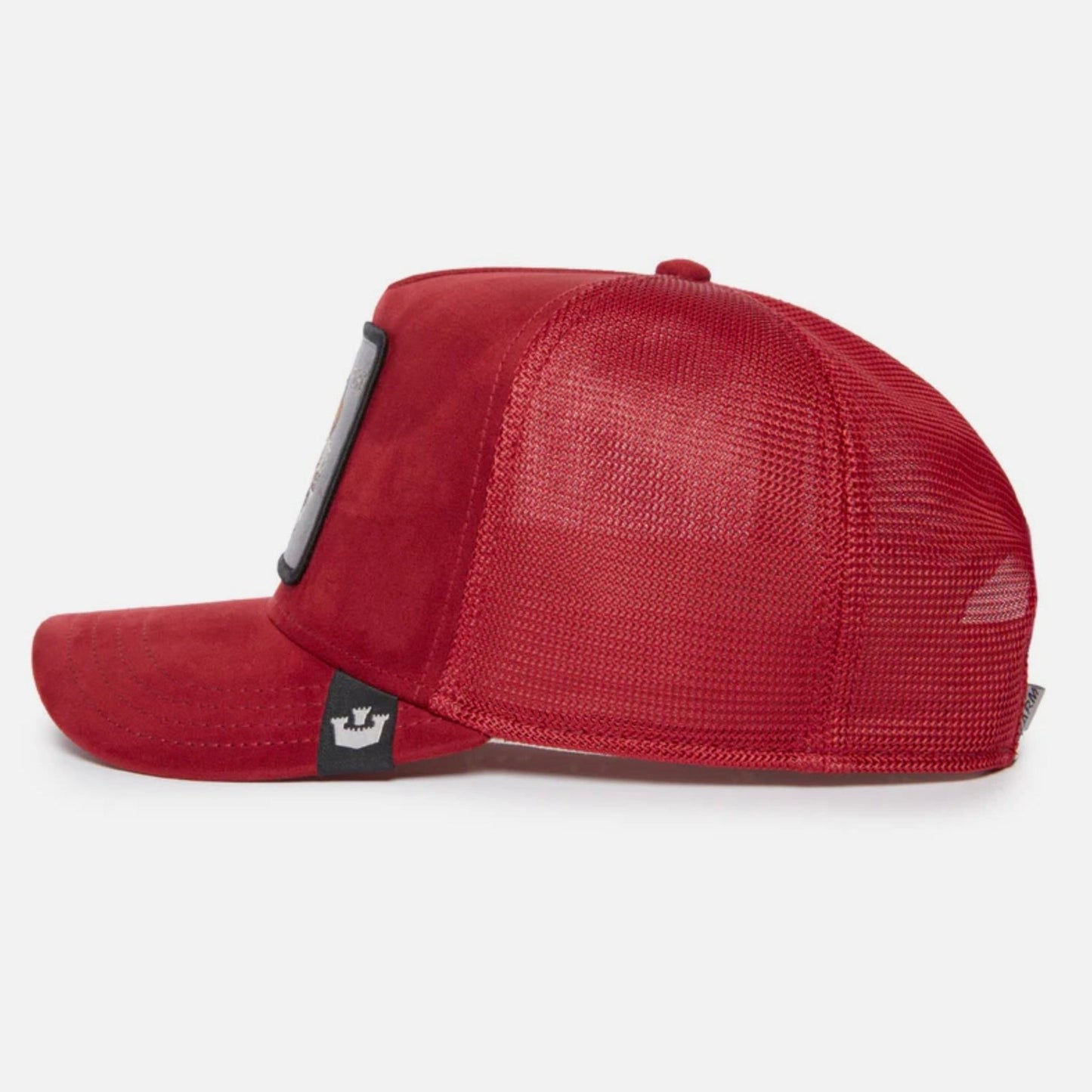 The Suede Dragon