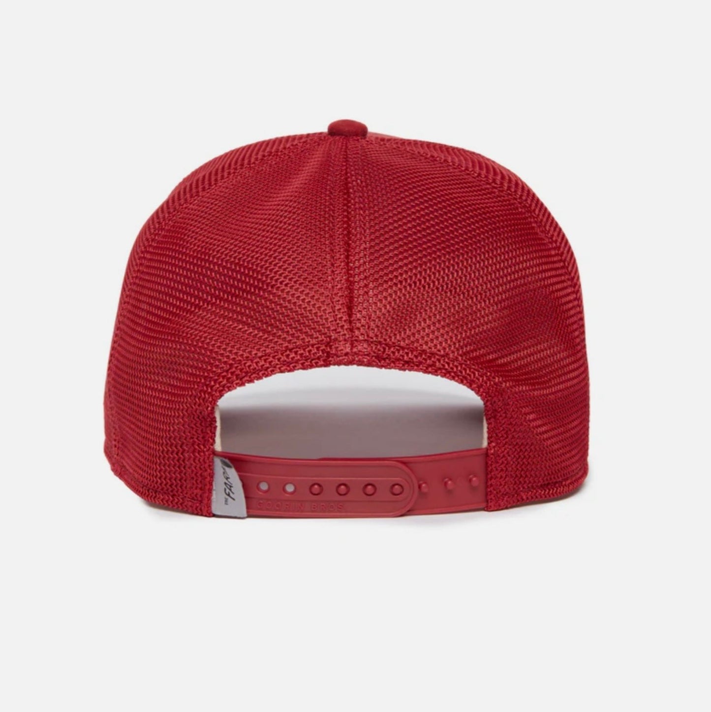 The Suede Dragon