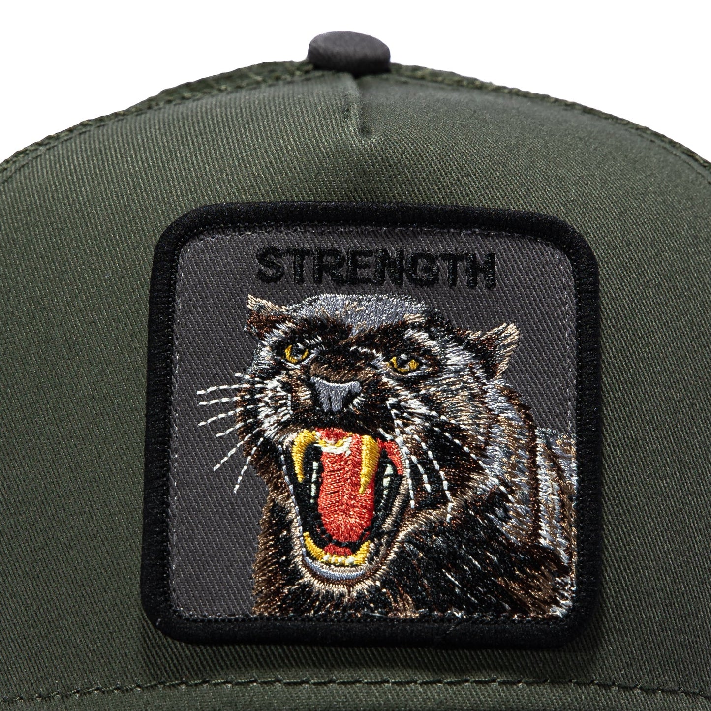 Strength   Panther - Palm