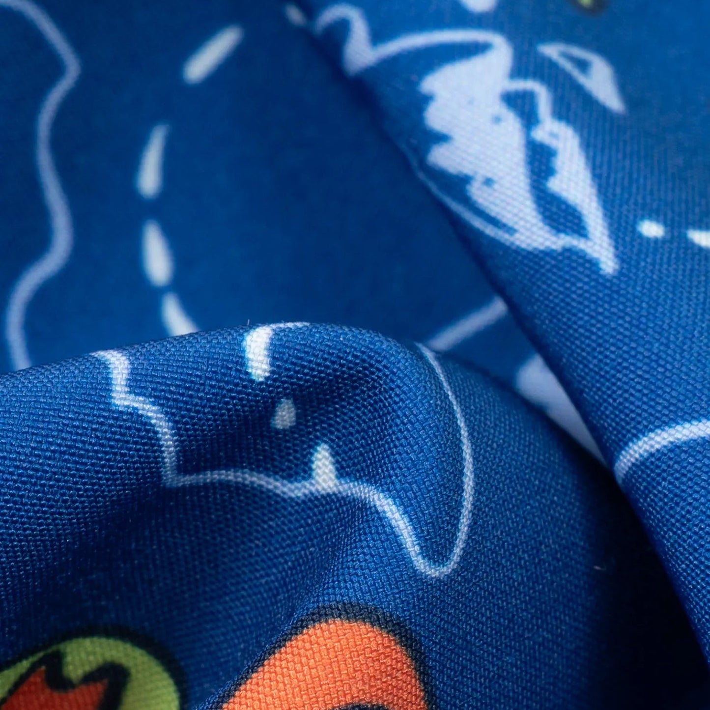 Boys Lined Classic Swim Trunk - The Rex Marks The Spots