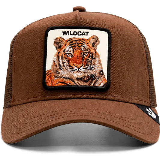 The Wildcat Tiger brown